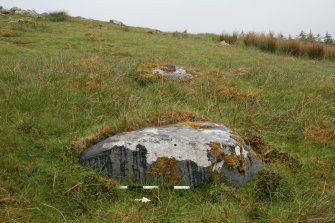 Digital photograph of panel to west, from Scotland's Rock Art project, North Uist, Buaile Risary, Ben Risary, Western Isles