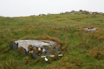 Digital photograph of panel to south, from Scotland's Rock Art project, North Uist, Buaile Risary, Ben Risary, Western Isles