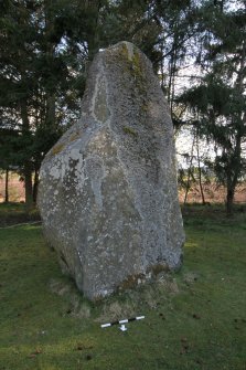 Digital photograph of panel to south, from Scotland's Rock Art project, Macbeth'S Stone, Belmont, Perth And Kinross