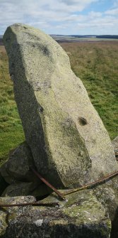 Digital photograph of rock art panel context, Scotland's Rock Art Project, Dabshead, East Lothian