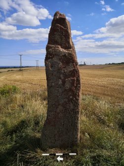 Digital photograph of rock art panel context, Scotland's Rock Art Project, Easter Broomhouse, East Lothian