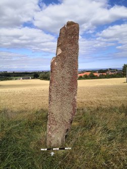 Digital photograph of rock art panel context, Scotland's Rock Art Project, Easter Broomhouse, East Lothian