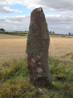 Digital photograph of rock art panel context, Scotland's Rock Art Project, Easter Broomhouse, East Lothian