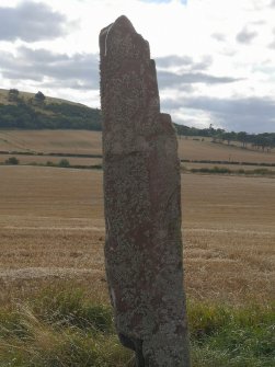 Digital photograph of rock art panel context, Scotland's Rock Art Project, Easter Broomhouse, East Lothian