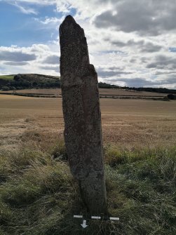 Digital photograph of panel to south, from Scotland’s Rock Art Project, Easter Broomhouse, East Lothian