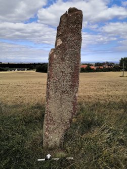 Digital photograph of panel to north, from Scotland’s Rock Art Project, Easter Broomhouse, East Lothian