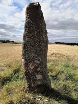 Digital photograph of panel to west, from Scotland’s Rock Art Project, Easter Broomhouse, East Lothian