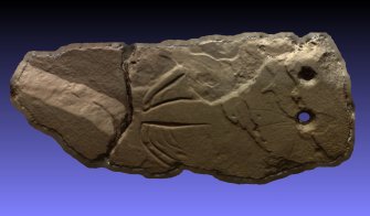 Snapshot of 3D model, from Scotland's Rock Art Project, Balblair Wood, Highland