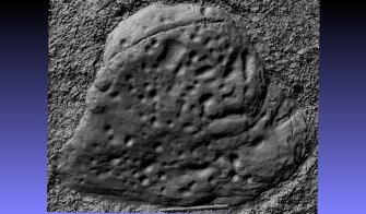 Snapshot of 3D model, from Scotland's Rock Art Project, Dun Creagach 1, Highland
