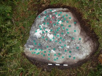 Digital photograph of rock art panel context, Scotland's Rock Art Project, Dun Creagach 1, Highland