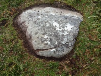 Digital photograph of rock art panel context, Scotland's Rock Art Project, Dun Creagach 1, Highland