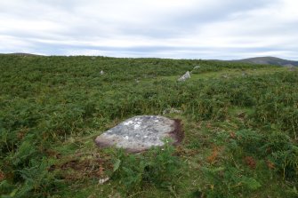 Digital photograph of panel to north, from Scotland's Rock Art Project, Dun Creagach 1, Highland