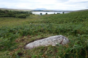 Digital photograph of panel to west, from Scotland's Rock Art Project, Dun Creagach 1, Highland
