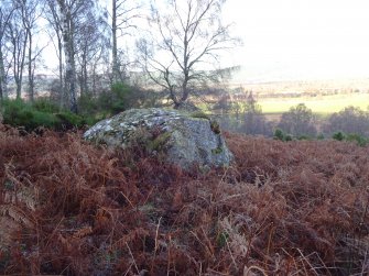 Digital photograph of panel before cleaning, from Scotland's Rock Art Project, Milton of Balnapoul, Sluggan, Highland