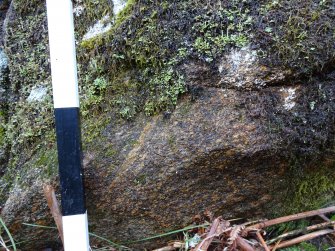 Digital photograph of panel, from Scotland's Rock Art Project, Milton of Balnapoul, Sluggan, Highland