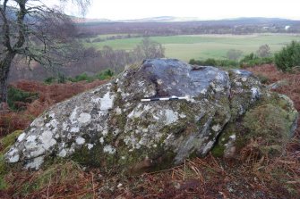 Digital photograph of panel to north, from Scotland's Rock Art Project, Milton of Balnapoul, Sluggan, Highland