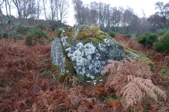 Digital photograph of panel to south, from Scotland's Rock Art Project, Milton of Balnapoul, Sluggan, Highland