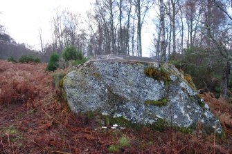 Digital photograph of panel to west, from Scotland's Rock Art Project, Milton of Balnapoul, Sluggan, Highland