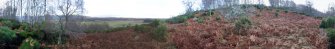 Digital photograph of panorama, from Scotland's Rock Art Project, Milton of Balnapoul, Sluggan, Highland