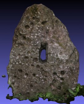 Snapshot of 3D model, from Scotland's Rock Art Project, Crichton Mains, Midlothian