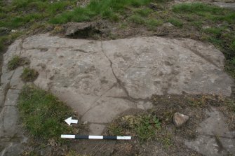 Digital photograph of panel, from Scotland's Rock Art Project, Castleton 11, Stirling