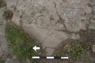 Digital photograph of perpendicular to carved surface(s), from Scotland's Rock Art Project, Castleton 11, Stirling