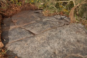 Digital photograph of rock art panel context, Scotland's Rock Art Project, Castleton 12, Stirling