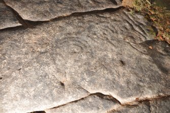 Digital photograph of close ups of motifs, from Scotland's Rock Art Project, Castleton 12, Stirling