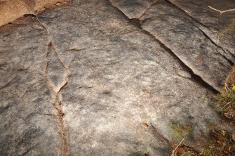 Digital photograph of rock art panel context, Scotland's Rock Art Project, Castleton 12, Stirling