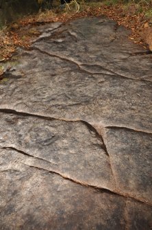 Digital photograph of close ups of motifs, from Scotland's Rock Art Project, Castleton 12, Stirling