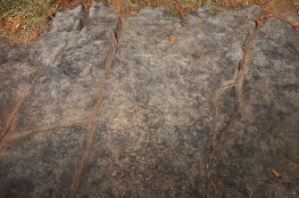 Digital photograph of rock art panel context, Scotland's Rock Art Project, Castleton 12, Stirling