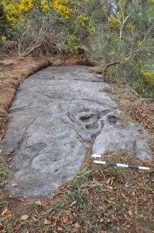 Digital photograph of rock art panel context, Scotland's Rock Art Project, Castleton 12, Stirling