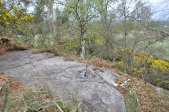 Digital photograph of rock art panel context, Scotland's Rock Art Project, Castleton 12, Stirling