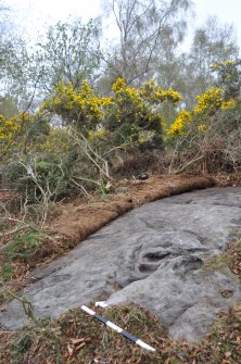 Digital photograph of rock art panel to north east, Scotland's Rock Art Project, Castleton 12, Stirling