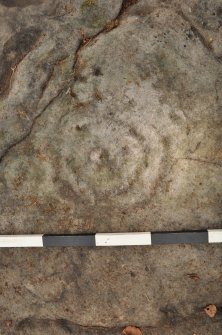 Digital photograph of close ups of motifs, from Scotland's Rock Art Project, Castleton 12, Stirling