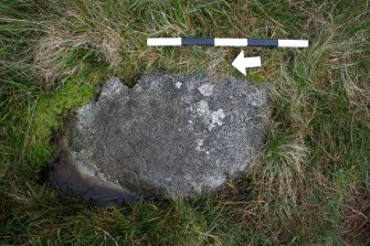 Digital photograph of rock art panel context, Scotland's Rock Art Project, Glen Dohmaine, Kilmartin, Argyll and Bute