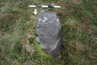 Digital photograph of rock art panel context, Scotland's Rock Art Project, Glen Dohmaine, Kilmartin, Argyll and Bute