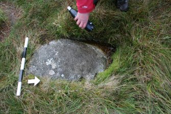 Digital photograph of rock art panel context, Scotland's Rock Art Project, Glen Dohmaine, Kilmartin, Argyll and Bute