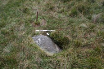 Digital photograph of rock art panel context, Scotland's Rock Art Project, Glen Dohmaine, Kilmartin, Argyll and Bute