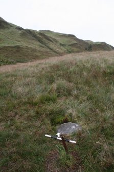 Digital photograph of rock art panel context, Scotland's Rock Art Project, Glen Dohmaine, Kilmartin, Argyll and Bute