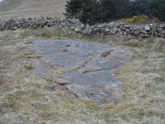 Digital photograph of rock art panel context, Scotland's Rock Art Project, Blackshaw, Ayrshire