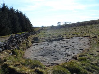 Digital photograph of rock art panel context, Scotland's Rock Art Project, Blackshaw, Ayrshire