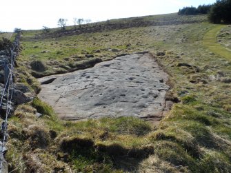 Digital photograph of rock art panel context, Scotland's Rock Art Project, Blackshaw, Ayrshire