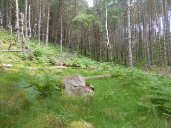 Digital photograph of panel before cleaning, from Scotland's Rock Art Project, Achadh Mor, Highland