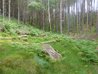 Digital photograph of rock art panel context, Scotland's Rock Art Project, Achadh Mor, Highland