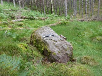 Digital photograph of panel to north-east, from Scotland's Rock Art Project, Achadh Mor, Highland