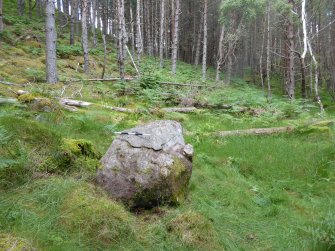 Digital photograph of panel to north-west, from Scotland's Rock Art Project, Achadh Mor, Highland