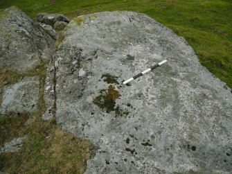 Digital photograph of panel before cleaning, Scotland's Rock Art Project, Dunlichity Farm, Highland