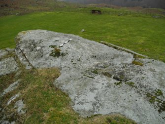 Digital photograph of panel in context with scale, Scotland's Rock Art Project, Dunlichity Farm, Highland