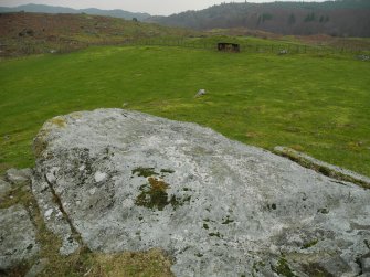 Digital photograph of panel in context without scale, Scotland's Rock Art Project, Dunlichity Farm, Highland